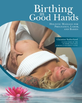 180-day rental: Birthing in Good Hands: Holistic Massage for Pregnancy, Labor, and Babies