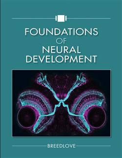 180-day rental: Foundations of Neural Development