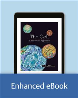 180-day rental: The Cell
