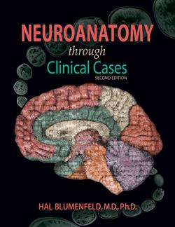 180 Day Rental Neuroanatomy through Clinical Cases