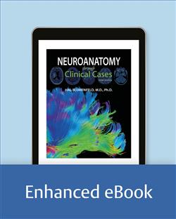 180 Day Rental Neuroanatomy through Clinical Cases