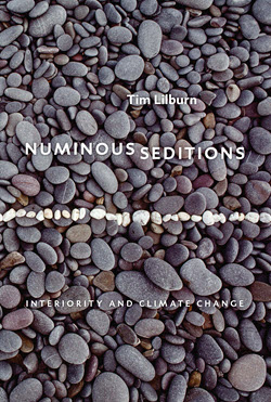 Numinous Seditions: Interiority and Climate Change 